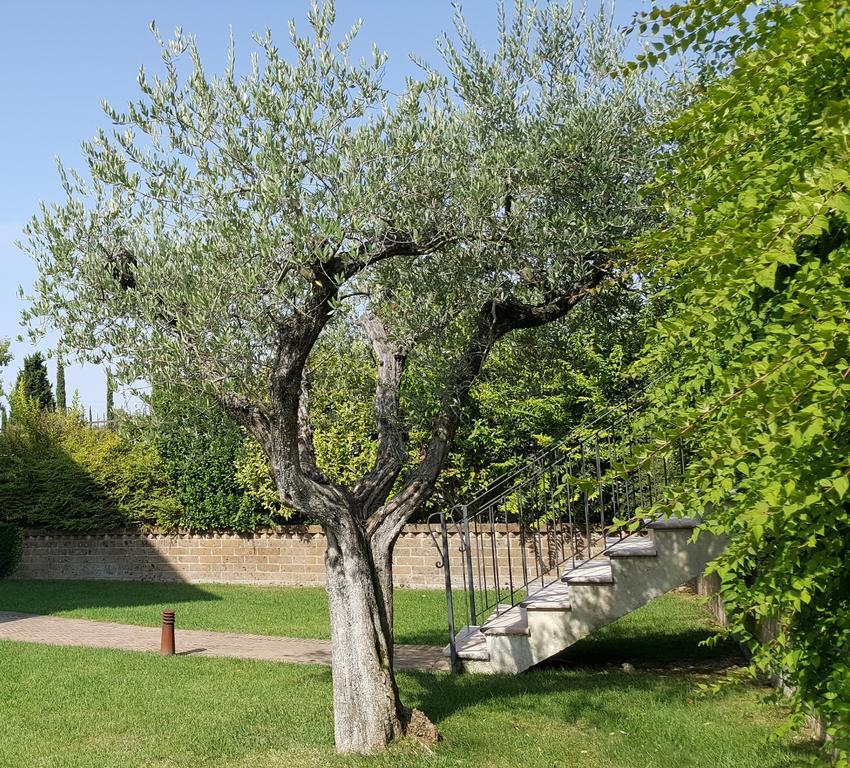Corte La Guarnigione فاليجيو سول مينشيو المظهر الخارجي الصورة